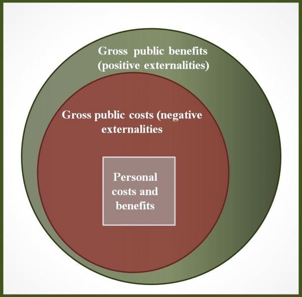 externality gross public costs benefits personal costs externalities 