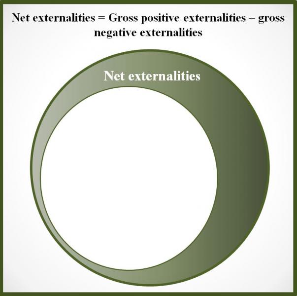 net externalities gross positive negative cost of childbearing fertility