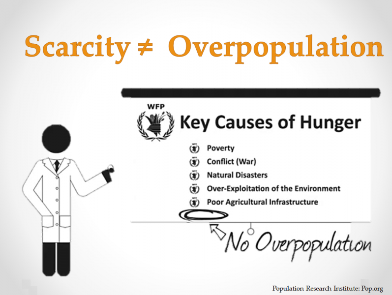 overpopulation research paper