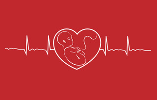 texas heartbeat law