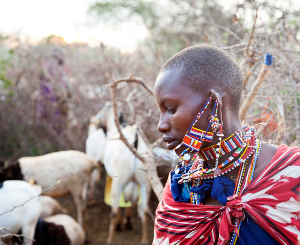 survivor kenya 2500