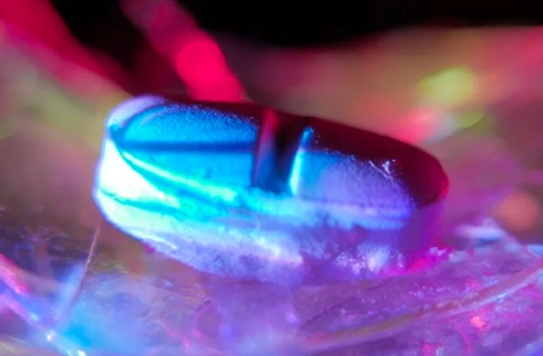 Everything You Need to Know About the Abortion Pill 1 Everything You Need to Know About the Abortion Pill by Samantha Harris