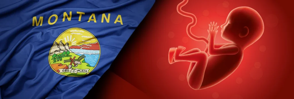 Vote No on CI-128 3 Montana
