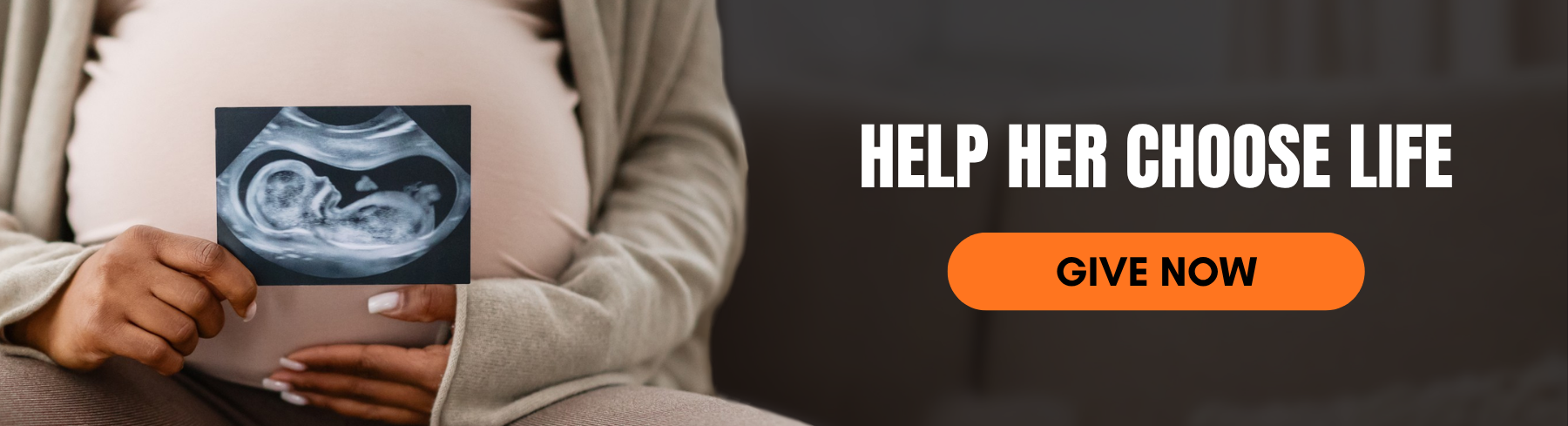 FCC 2026 Banner Options 7